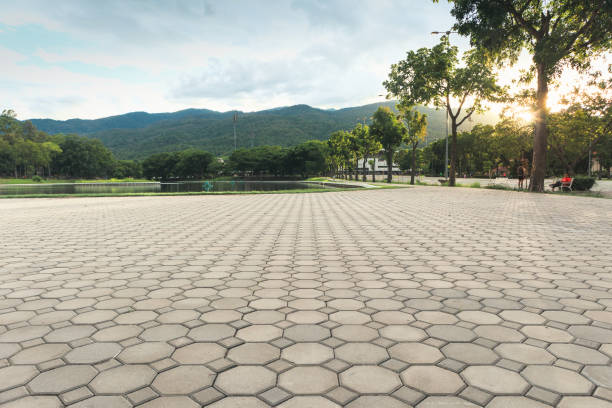 Best Custom Driveway Pavers  in Tenino, WA